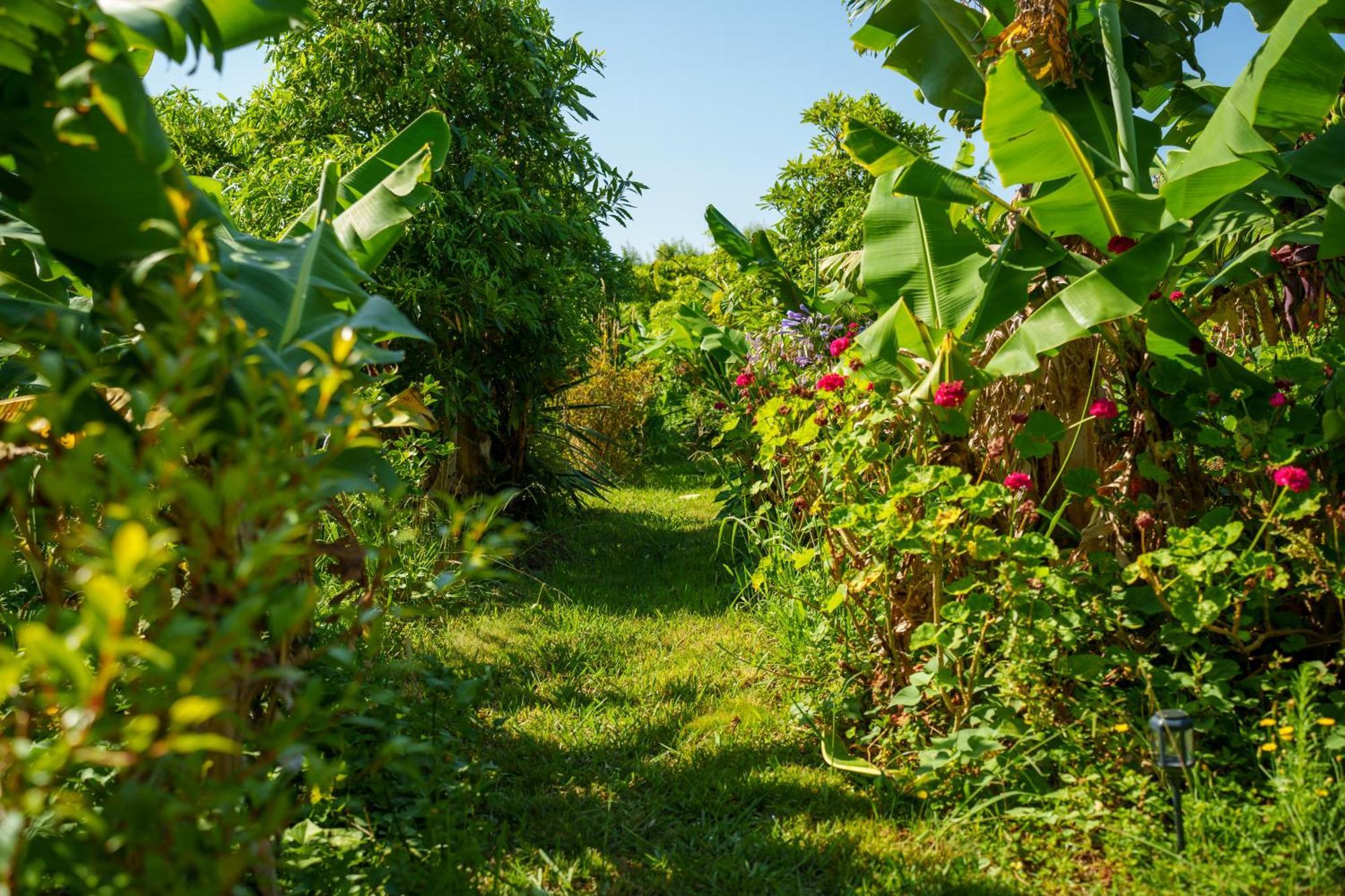 Feteira The Plantation Faial住宿加早餐旅馆 外观 照片